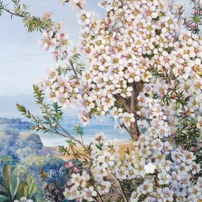 Moyu231205's profile picture. 