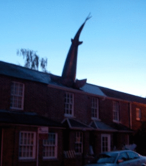 ox_tale's profile picture. Oxford resident. Don't tweet twoften. I value my long term followers. Tweets may become offensive during sporting events