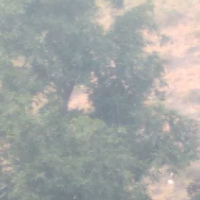 AlshayfNwa23153's profile picture. 