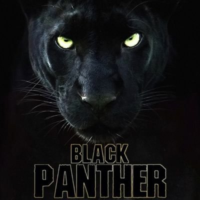 PantherWriting Profile Picture