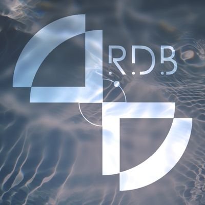 Reflective Duet Battle - RDB