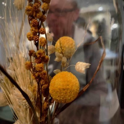 MirekKotrba's profile picture. 