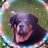 Malibuss72Randy's profile image