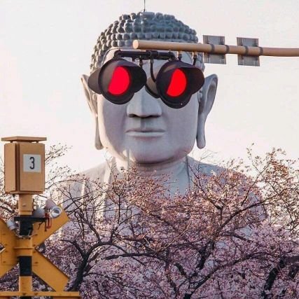 zhagooo's profile picture. 私密树洞，聆听万事，一切化渣。