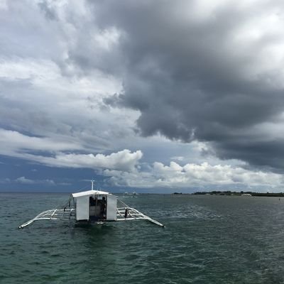 Hanavinzel's profile picture. 