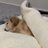kuu_0424