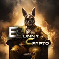 Big Bunny Crypto(@bigbunnycrypto) 's Twitter Profile Photo