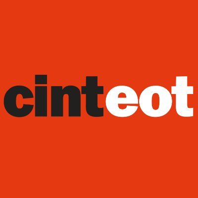 Cinteot Profile Picture