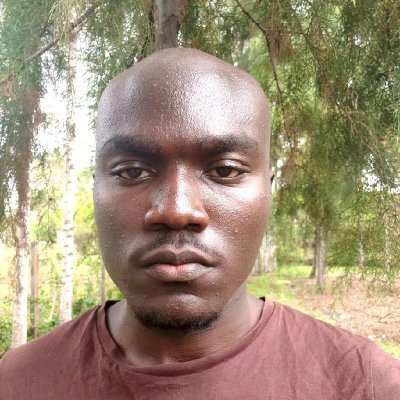itsmichaelallan's profile picture. Dev