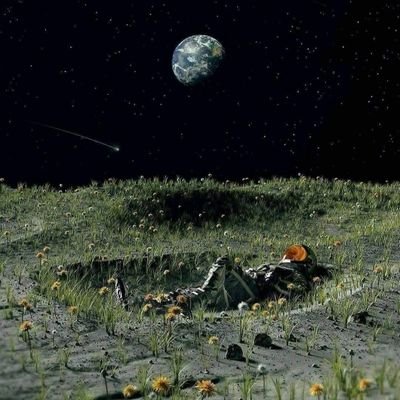 siddhartha2028's profile picture. W