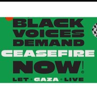 Black For Palestine(@Black4Palestine) 's Twitter Profileg
