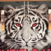 Plainfield North HS (@pnhstigernation) Twitter profile photo Plainfield North HS (@pnhstigernation) Twitter profile photo