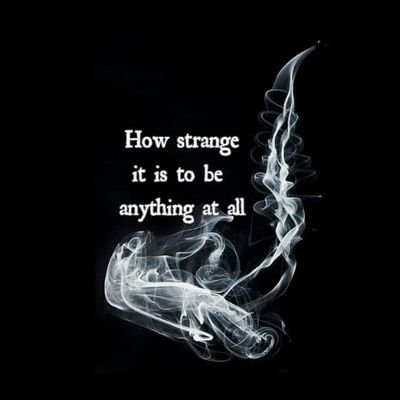 Greater silence enfold me, yet again will I seek, and not in vain will I seek.