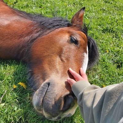 hannahvfx's profile picture. 20 | editor