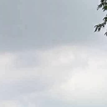 suracheatkamka1's profile picture. 