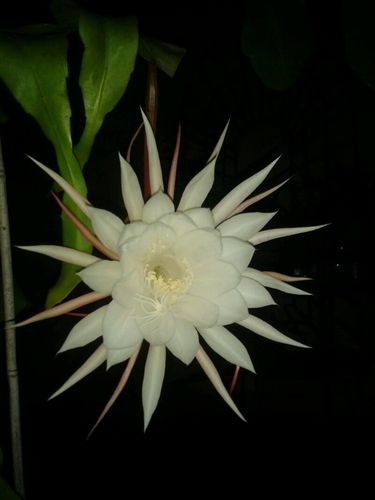 titabubu's profile picture. opticienne #optométriste, j'aime #bricoler, #cuisiner #jardiner et la #couture. Maman d'un petit zèbre,  2?...que va donner le 3ème? Je m'intéresse bcp aux #EIP