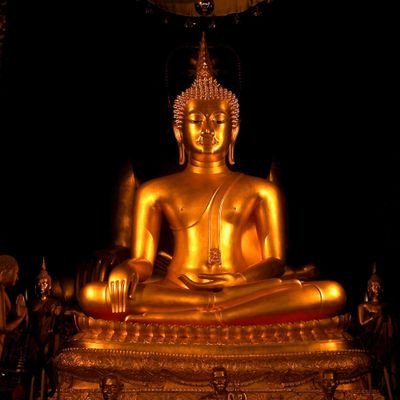 MaddySm97462957's profile picture. Fun to be with