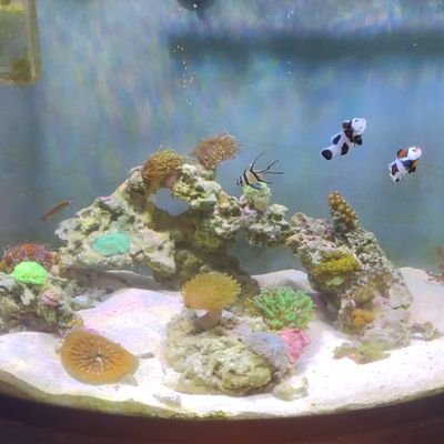 BrandonYou87134's profile picture. 