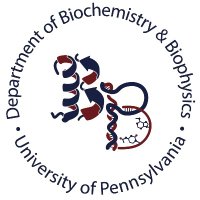 UPenn Dept of Biochem & Biophys(@BB_UPenn) 's Twitter Profile Photo