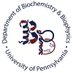 UPenn Dept of Biochem & Biophys (@bb_upenn) Twitter profile photo UPenn Dept of Biochem & Biophys (@bb_upenn) Twitter profile photo