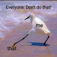 Still Learning (@stilllearning23) 's Twitter Profile