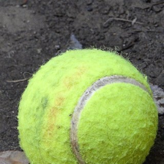 marthabrambila's profile picture. 