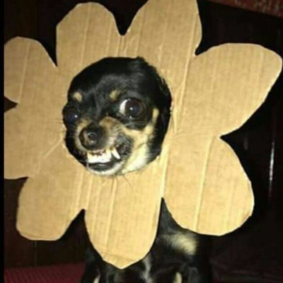 Johadeva_ese's profile picture. 