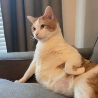 LouisXDW (@louisxdw2) 's Twitter Profile