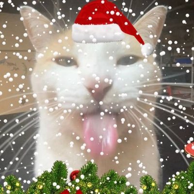 Imateenowo1's profile picture. Who put cheeze on my cheezeburger.
I am scared of adulthood someone get me out. 19y old 
MDNI