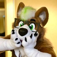 Koda🔜FWA(@KodaTheBolf) 's Twitter Profile Photo