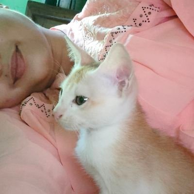 Ailurophile❣️. Trying to be mother of cats.