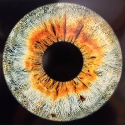 LyonEyes23's profile picture. 