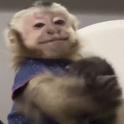 anab_gon's profile picture. entre com expectativas baixíssimas 🤠