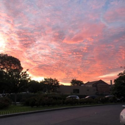 susieq92242's profile picture. Virgo ♍️