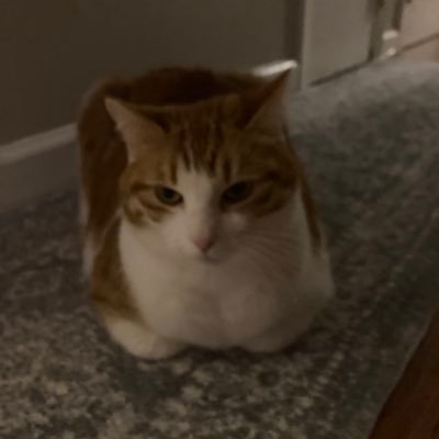 Discord is antthepikachu12 Music Enthusiast / Reviewer on RYM (username is also antthepikachu12). Love discovering new music: Stream Nerd Table