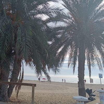 Tropicalgard's profile picture. 