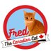 Fred the Canadian Cat (@FredCanCat) Twitter profile photo