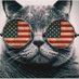 Trumpian Cat Lady (@anne_gee_2923) Twitter profile photo