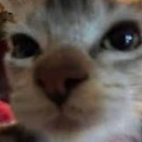 spinx (@spinxcsgo) 's Twitter Profile