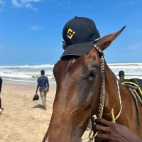 Faceless-Crypto .ink (@nameless_sapien) 's Twitter Profile Photo Faceless-Crypto .ink (@nameless_sapien) 's Twitter Profile Photo