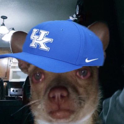 Mr. Dog is a Kentucky native, Boston resident, outspoken UK fan, fantasy football champion, 25 handicap, and a facts over feelings advocate.