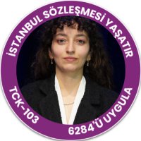 Sinem Nazlı Demir(@sinemnazlidemir) 's Twitter Profile Photo