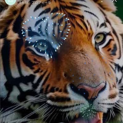 iLyWoRuC32FgY7m's profile picture. 面白い事大好き