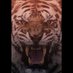 _Ashish_Speaks🏹☯️☮️🦉📸 🇮🇳 (@_ashish_somkuor) Twitter profile photo _Ashish_Speaks🏹☯️☮️🦉📸 🇮🇳 (@_ashish_somkuor) Twitter profile photo