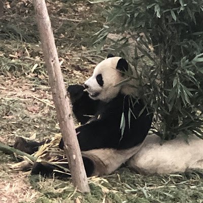 XingSha0's profile picture. 