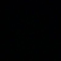 big929n (@big1230x) 's Twitter Profile