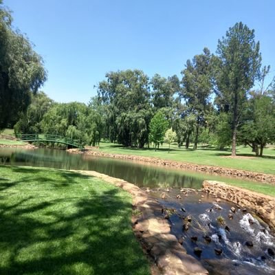 MamaboloKefiloe's profile picture. 