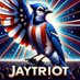 Jaytriot (@drjay999) Twitter profile photo