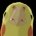 @Spurg.bsky.social (@spurgchurgler) 's Twitter Profile