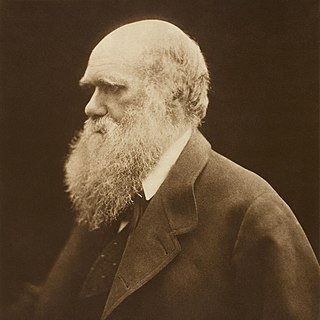 DarwinTheTrader's profile picture. Scientist and day trader. Highlighting trends with no advice.

Disclosure, not Charles Darwin, but trying to survive as the fittest.